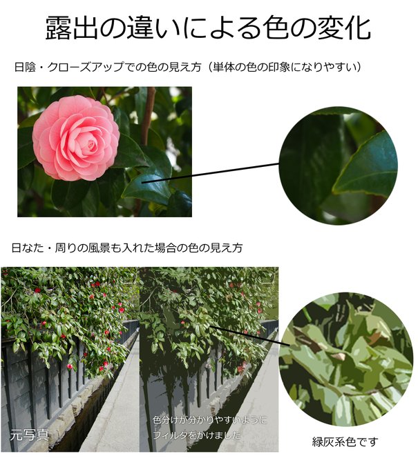 コメントいただき有難うございます。
画面内における物の色は、色温度や露出によって変わります。
クローズアップで椿の花を狙ったような写真の露出だと葉は暗めに映ります。単体で印象付けられる色は、クローズアップで撮られた時に近いものと言えるでしょう。 https://t.co/Q7YuDqVQar 