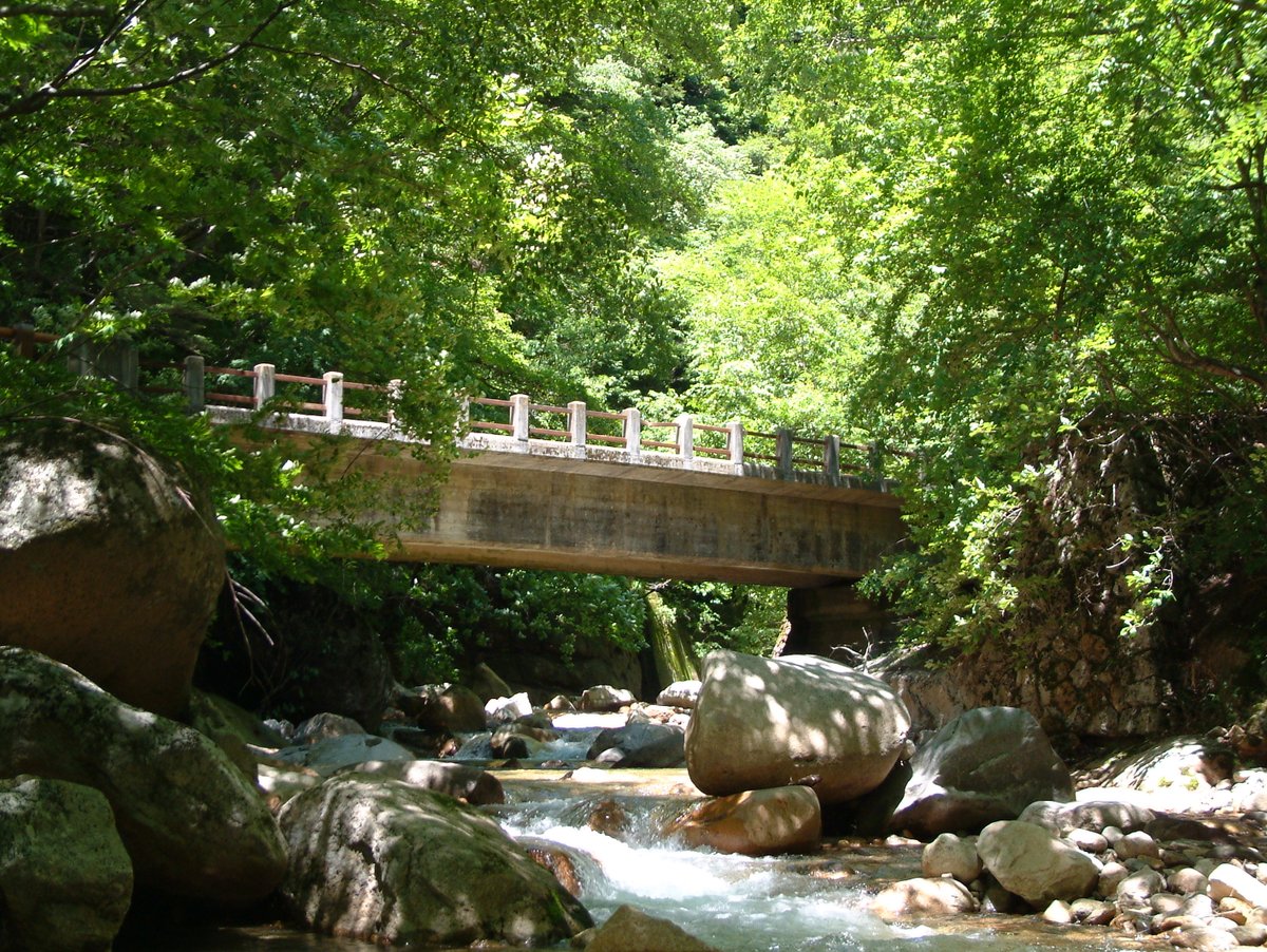 LoiseauBleu1997's tweet image. ～ドラマ青い鳥 ロケ地～

清澄渓谷

構内で体調不良を訴えた女性を
家まで送り届けた帰り、バスを待っていたら
涼みにきていた誌織とかほりに遭遇しました。

場所は、山梨県北杜市にある、日受渕。

当時の面影が残っていて
何だかドキドキ☺️

写真はラクーンさんより

google.co.jp/maps/@35.86618…