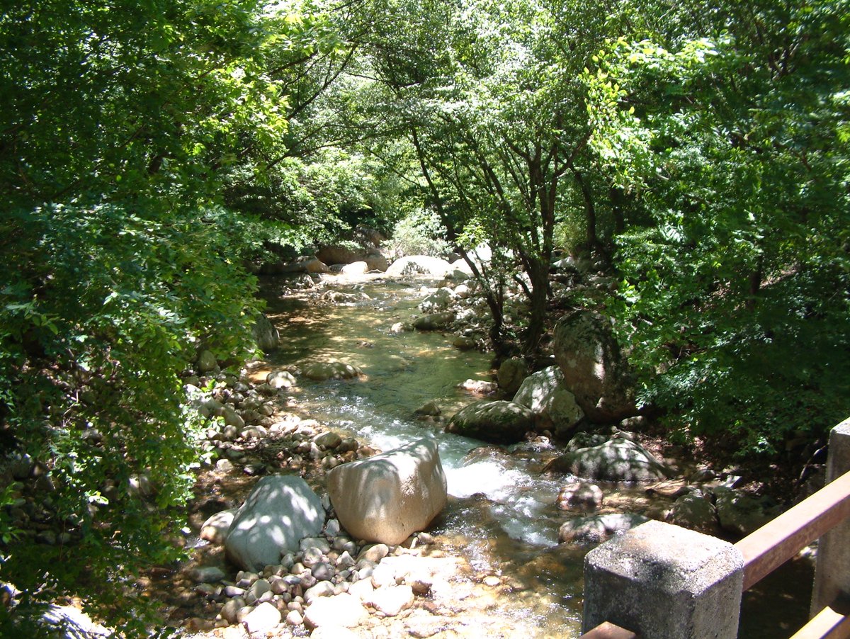 LoiseauBleu1997's tweet image. ～ドラマ青い鳥 ロケ地～

清澄渓谷

構内で体調不良を訴えた女性を
家まで送り届けた帰り、バスを待っていたら
涼みにきていた誌織とかほりに遭遇しました。

場所は、山梨県北杜市にある、日受渕。

当時の面影が残っていて
何だかドキドキ☺️

写真はラクーンさんより

google.co.jp/maps/@35.86618…