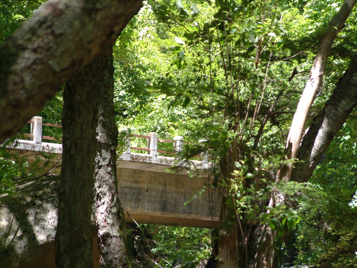 LoiseauBleu1997's tweet image. ～ドラマ青い鳥 ロケ地～

清澄渓谷

構内で体調不良を訴えた女性を
家まで送り届けた帰り、バスを待っていたら
涼みにきていた誌織とかほりに遭遇しました。

場所は、山梨県北杜市にある、日受渕。

当時の面影が残っていて
何だかドキドキ☺️

写真はラクーンさんより

google.co.jp/maps/@35.86618…