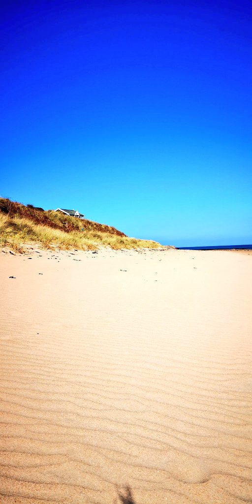 TheGablesDuddo's tweet photo. Not very long to wait for days like these again at #TheGables and #stablecottage
Email angus@gables-northumberland.co.uk or text 07854134296 for best rates and save money on your break. https://t.co/Y756FTDRjS