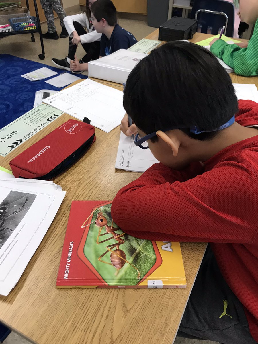 This is the best part of my job—watching the language explosion! He has been here less than 2 years and needed text in Spanish in the beginning of this year. Now he is doing school tasks independently and has already made over a years worth of growth in reading this year!