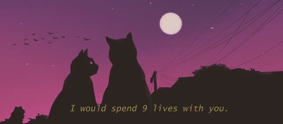 فيّ. (@uru_u7) on Twitter photo 