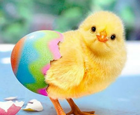 lowlandMH's tweet photo. Easter is just around the corner. 
Instead of fighting the crowds in security queues at the airports, why not relax and take a motorhome holiday instead.
The sun is shining and our daylight hours are rapidly increasing yay. Spring is almost here.
Come on, you know you want to... https://t.co/8fZD89mf5x