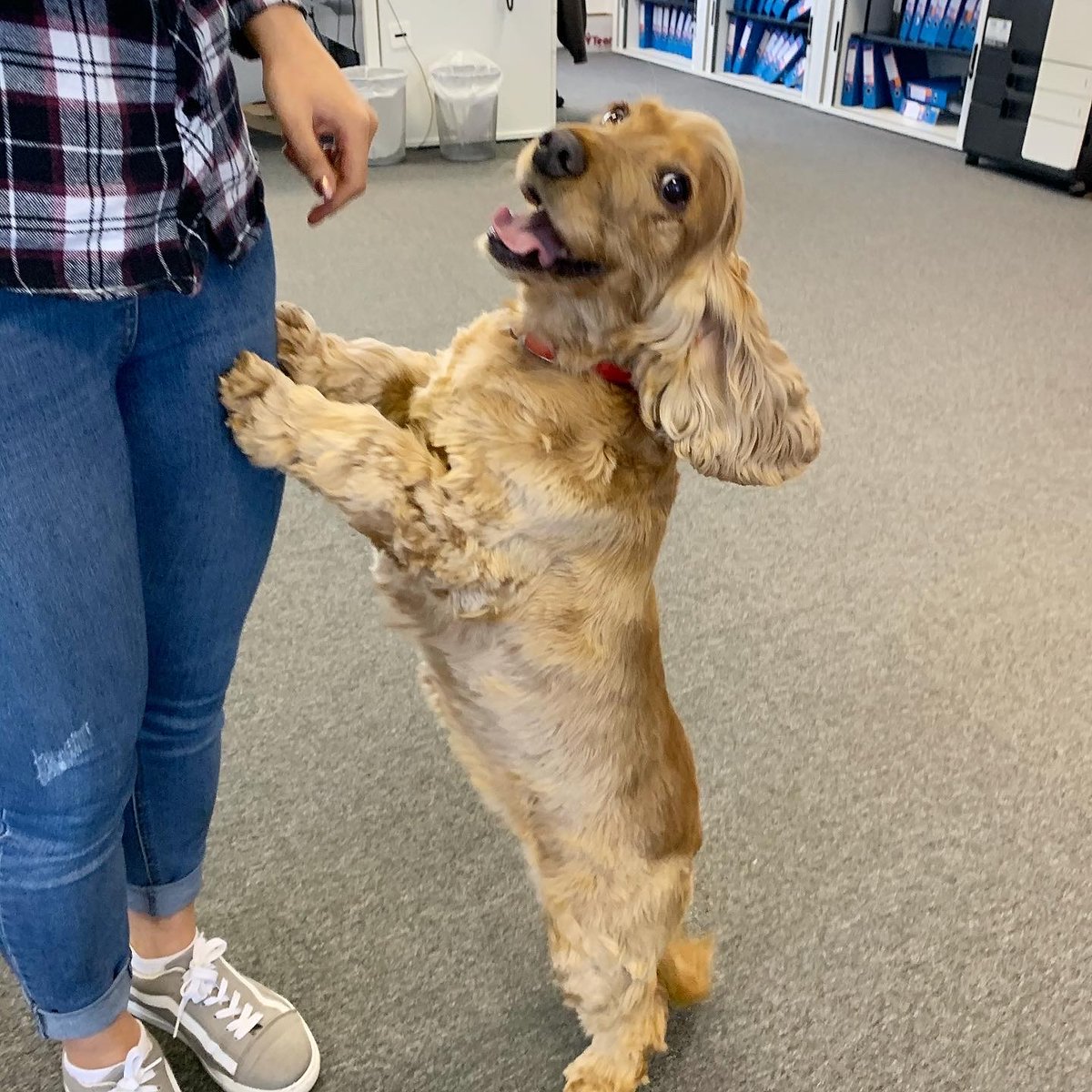 Thrive Office Space tweet media