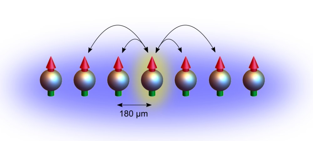 #Quantenphysiker der #UniStuttgart erfolgreich in der europäischen EU-Förderinitiative @QuantERA: fcld.ly/8a34gx8  
 #Quantentechnologien #Quantensimulation #MAQS
Foto: Universität Stuttgart / PI 5