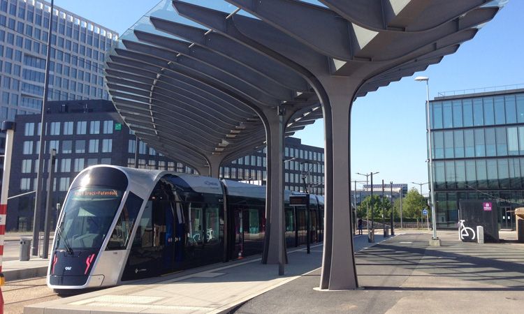 Florian Pellet tweet media