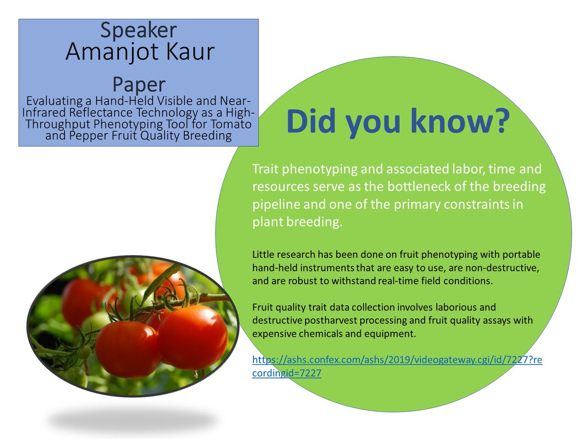 ASHS_Hort's tweet photo. #Didyouknow?
Trait phenotyping serves as the bottleneck of the breeding pipeline and one of the primary constraints in #plantbreeding.
Amanjot Kaur evaluated the use of a postharvest quality spectrophotometer at #ASHS2019
Learn more at https://t.co/XIeoCf9MIC
@UCDavisPlants https://t.co/LviPFm7PT3