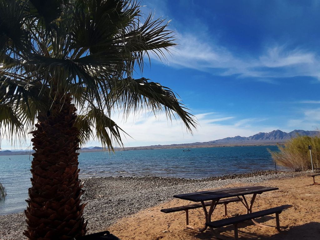 evolvingescapad's tweet image. Migrating Back to the Northwest From Arizona evolvingescapades.com/simplify-life/…