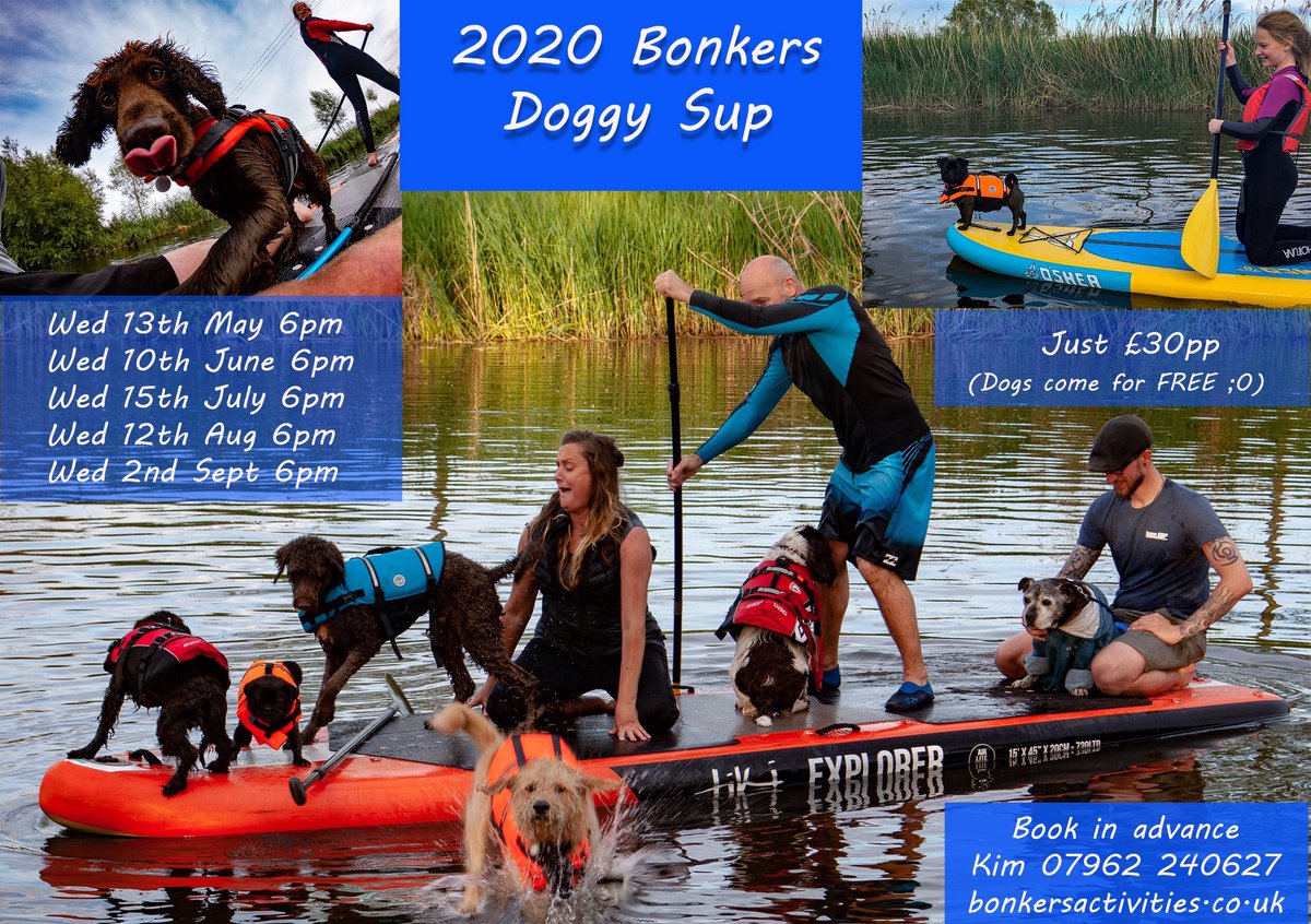 DoggySUP sessions organised, serious Fun..
#bonkersactivities