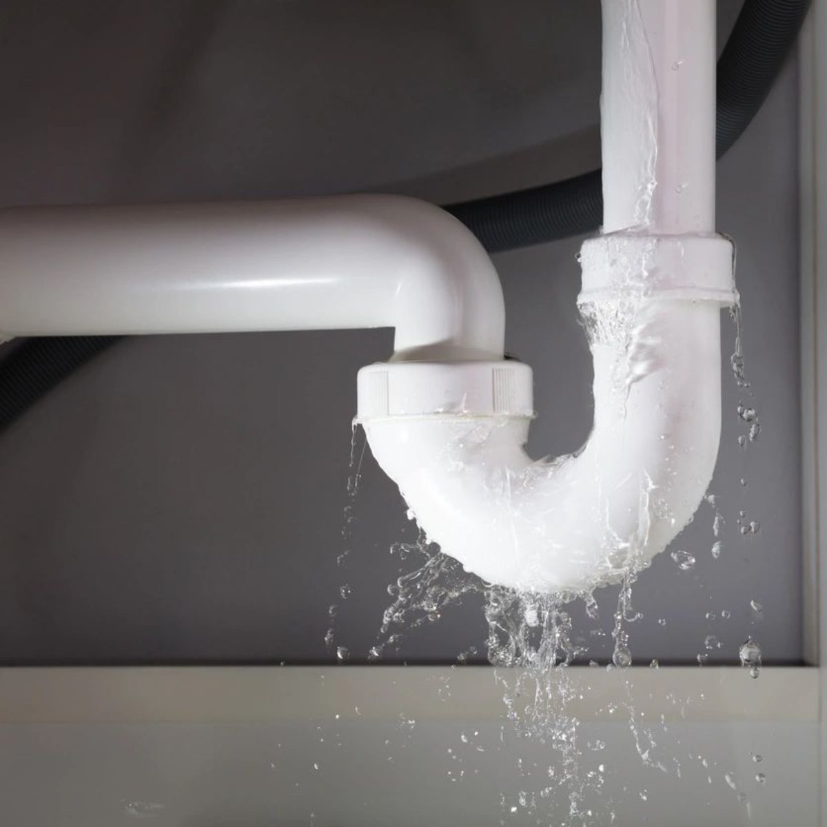 Mr. Restore tweet media