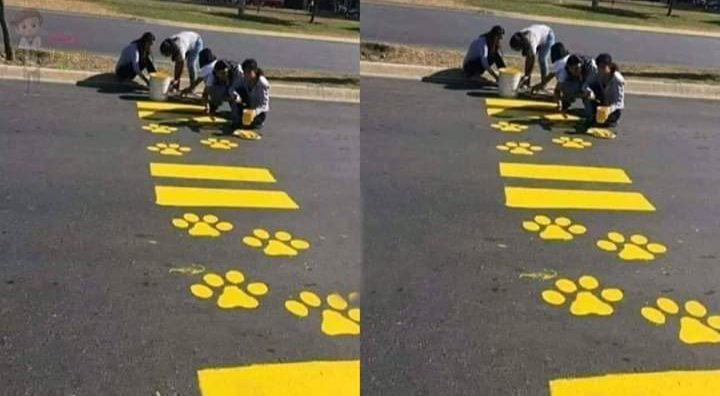 Boss63760307's tweet photo. The World is not for humans
Animals also important.
#Respect their lives also ♥️ https://t.co/YsaBD4GJiD