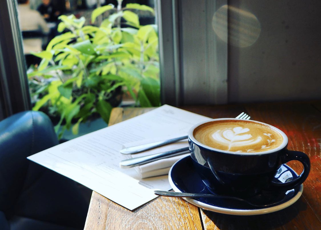 The Phene tweet media