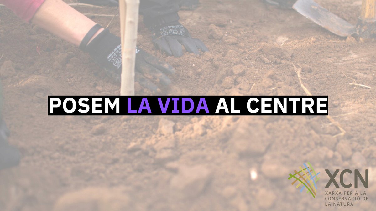 XCNatura's tweet photo. Pel #8M2020 i la resta de dies, posem la vida al centre 

➡️Treballem amb una mirada ecofeminista per situar la lluita de les dones i la defensa de la natura al centre de les nostres vides⬅️

#ecofeminisme
#DiversesRevoltades8m https://t.co/3OtrkAQjOe