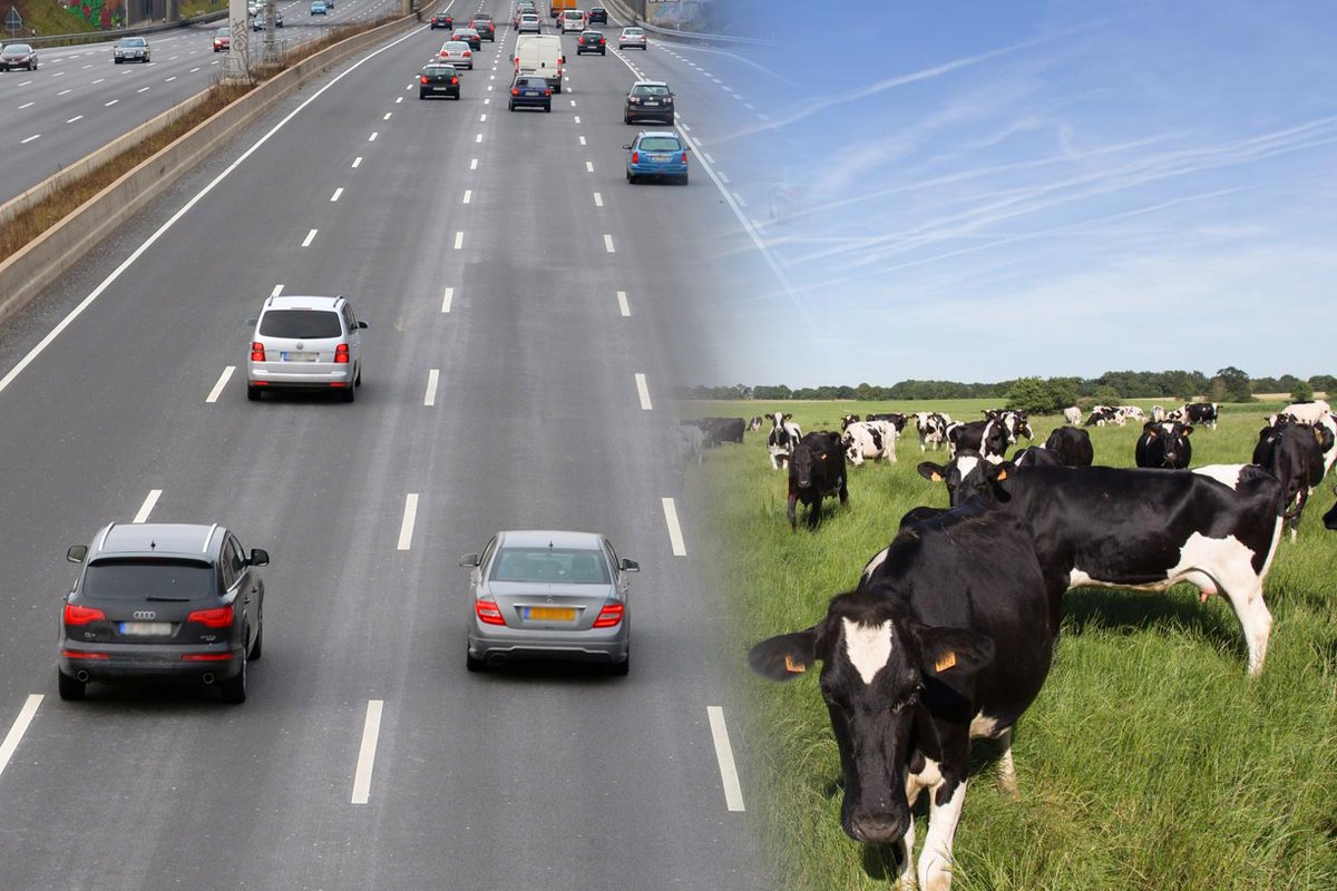 DecodAgri's tweet photo. #Élevage vs #Transports : qui pollue le plus ? 🐄🚙

Vrai ou Faux - La réponse ici ➡️ https://t.co/V2WRnTchRE ⬅️
#DecodAgri #FactChecking #pollution https://t.co/MXoylbS9Zf