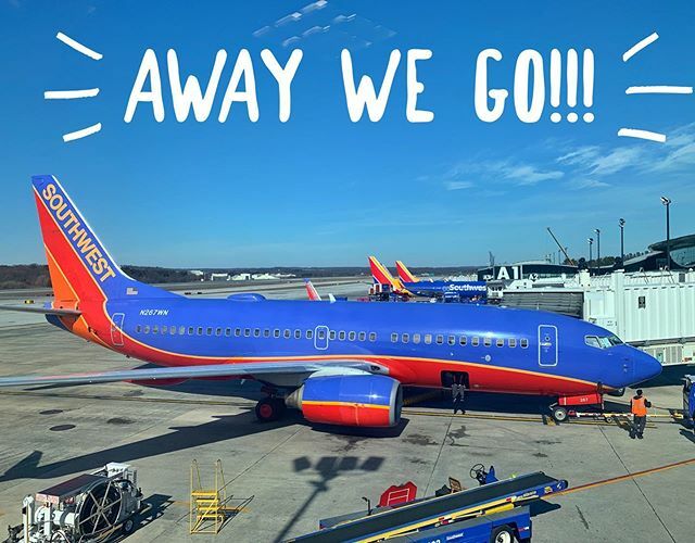TravelTeam360's tweet photo. After months of planning, it’s time to head off to Florida to greet all our staff and guests for the 4th Annual Floating With Friends Dance Cruise!!
🚢💃🏼✈️🕺🏻🚢
#awaywego #nosleep #dancedancedance https://t.co/8r1I9tpzKM https://t.co/hRKvmr0btL
