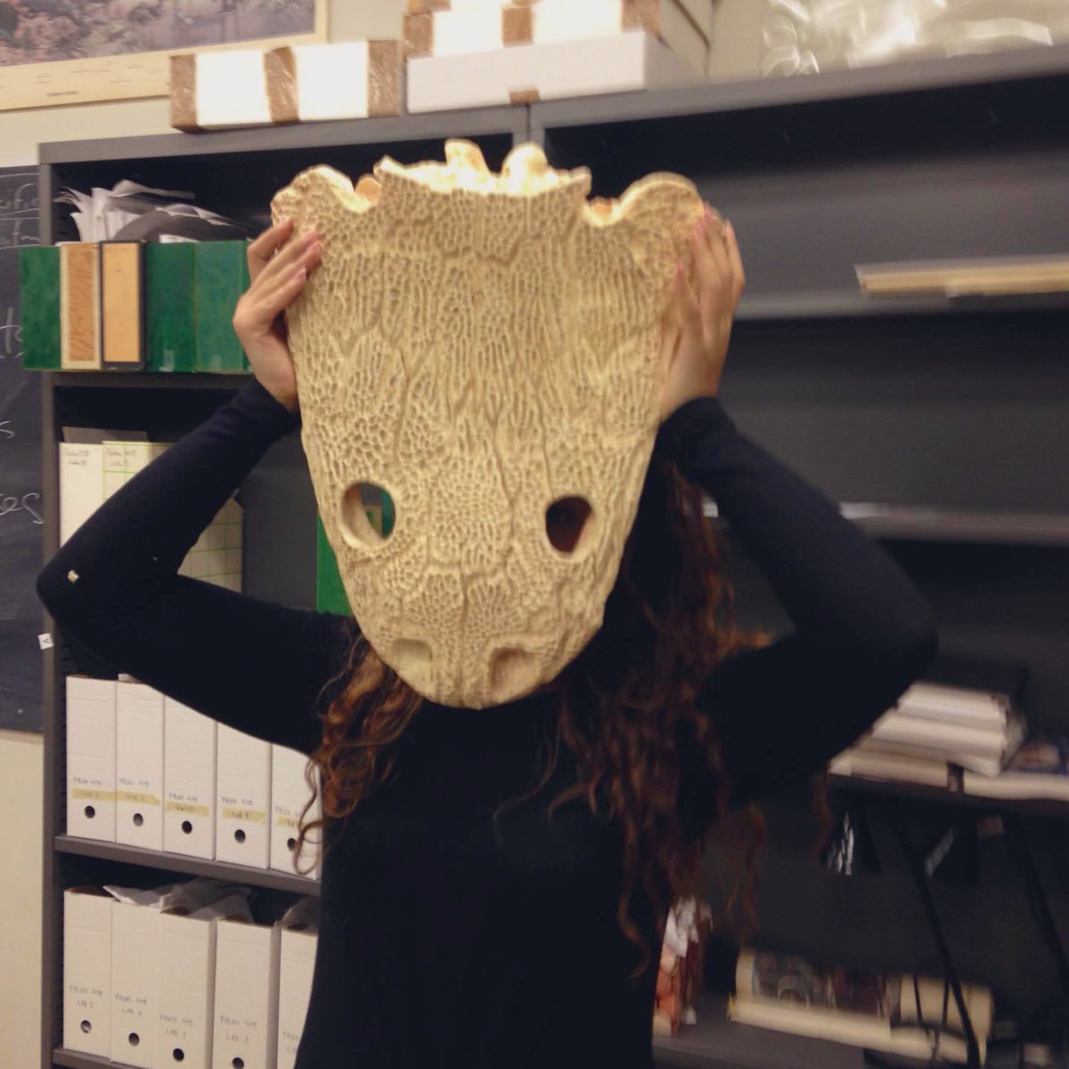 Yara_Haridy's tweet photo. TIME TO #GUESSTHESKULL
💀 💀 

This week’s #skull knows how to live on both sides of life, what animal could it be? 💁🏽‍♀️💁🏽‍♀️

One Yara for scale because this animal was CHONK! 

 #SciComm #Osteology https://t.co/iVv7j9eYX8