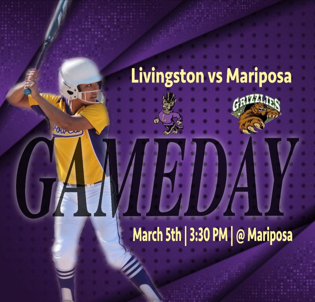 LHS Softball tweet media