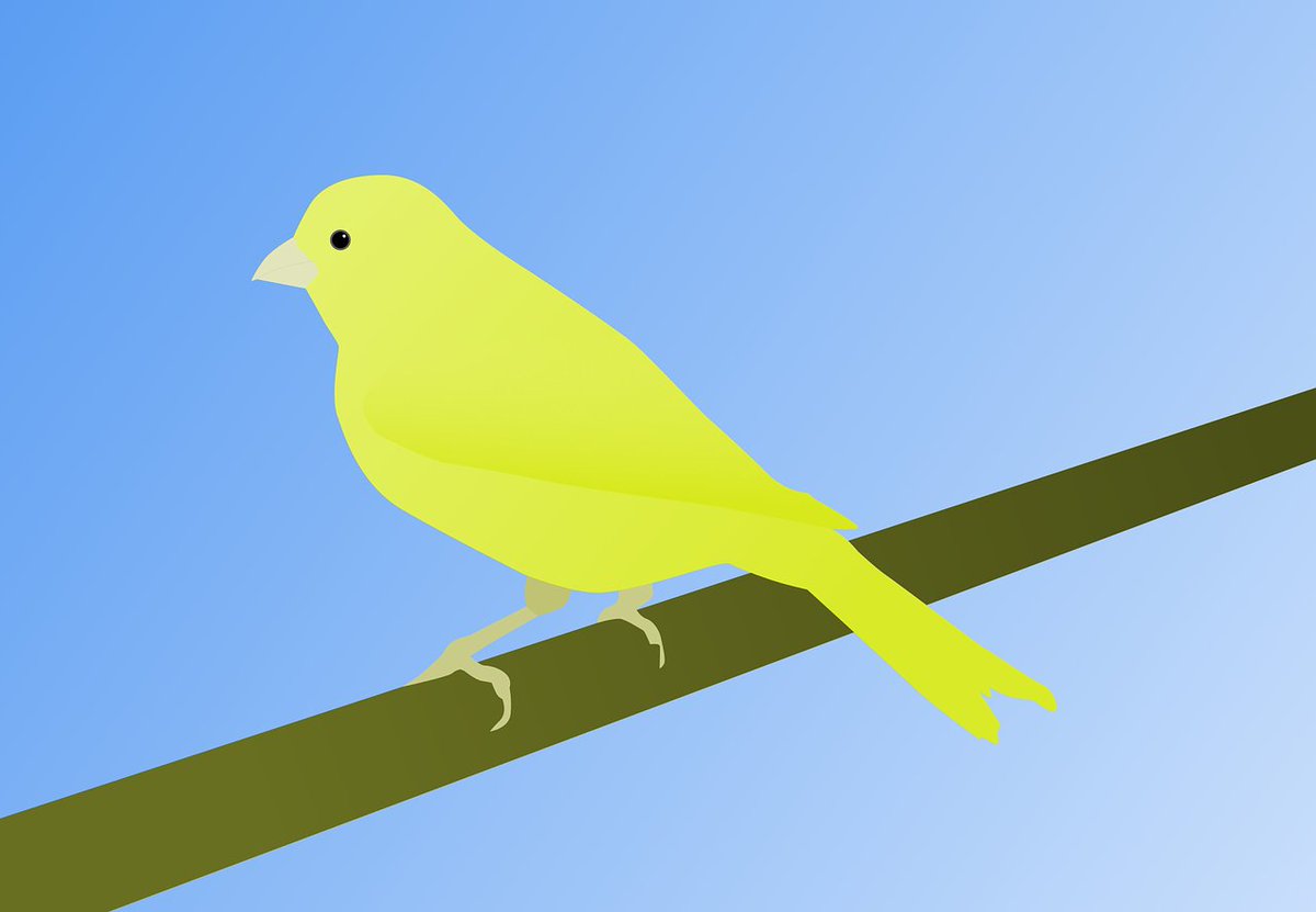 21CRYPTOS's tweet image. #TBT to the article where @Marsmensch taught us how to be safe using canaries. Read how they help you keep your crypto assets safe: ow.ly/3pEa50yAwWw