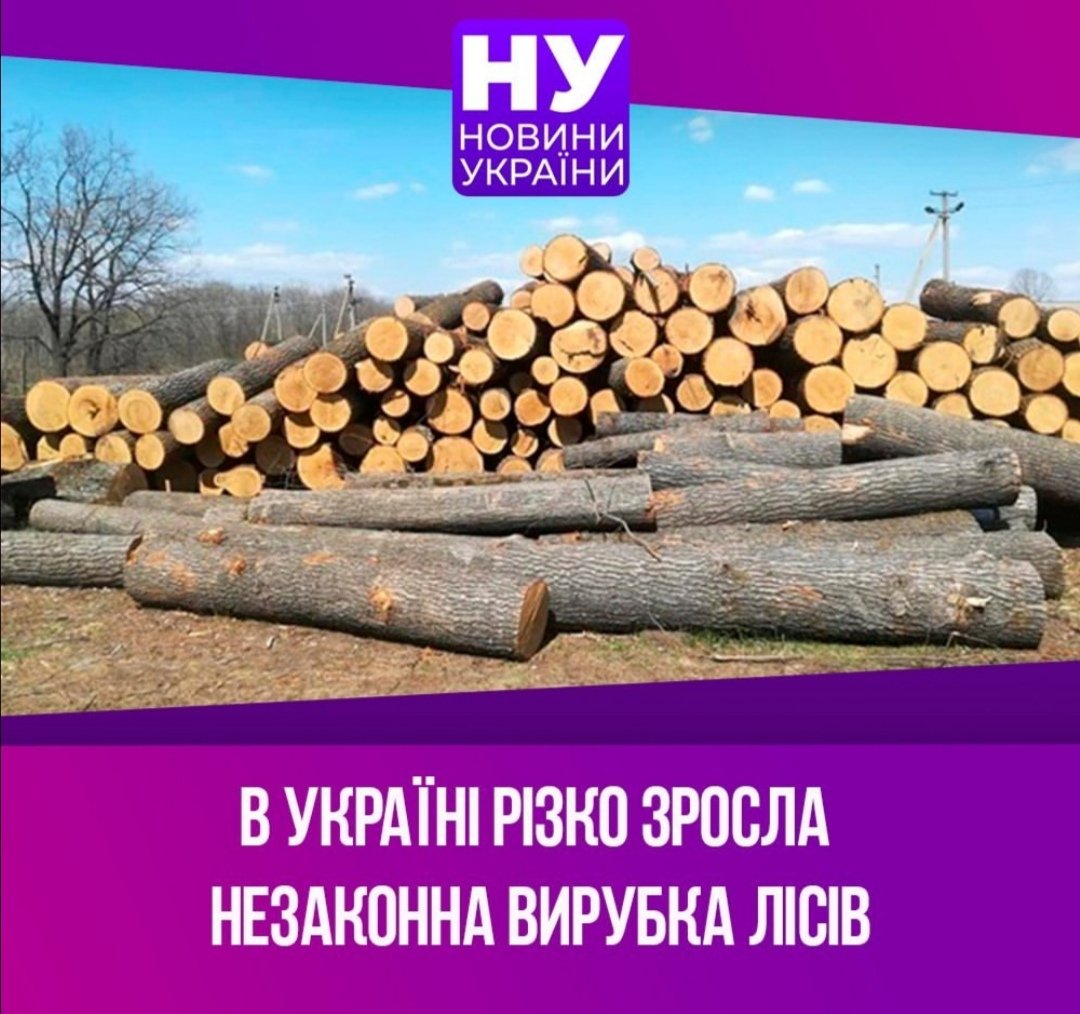 Зеленський підписав закон про проведення національної інвентаризації лісів - Цензор.НЕТ 7251