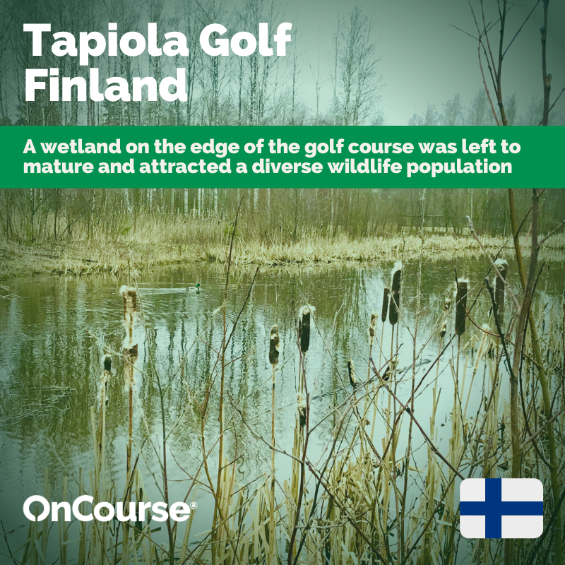 sustainablegolf's tweet photo. Thread (1/2)
Here's the shortlist of February's OnCourse sustainability highlights across the themes of nature, resources and community.
Which success story should be the Highlight of the Month? Cast your vote in the poll below. ⬇️
#SustainableGolf #JoinOnCourse https://t.co/R5uLeF0vPP
