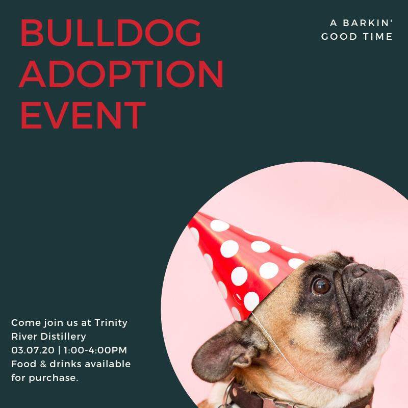 🎉Come join us this Saturday for a barking good time! We are hosting a dog adoption event from 1-4PM that you won’t want to miss. We have a fun day lined up with Silver Star Spirits, The Corndog Guy foodtruck, Black Bear Bakery and goodie bags to take home. 🐶