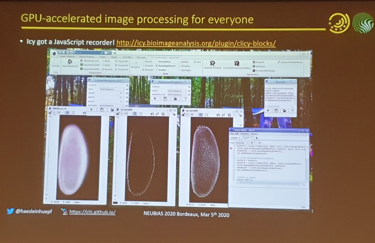 martinjones78's tweet photo. Also now available via #CLICY (@Icy_BioImaging), #CLATLAB (@MATLAB) and #CLIJPY (python), leading up to #CLEsperanto!
And @haesleinhuepf wants YOUR contributions, get in touch to help accelerate #BioimageAnalysis!
#neubiasBordeaux #neubias https://t.co/2PZ2omvm0E
