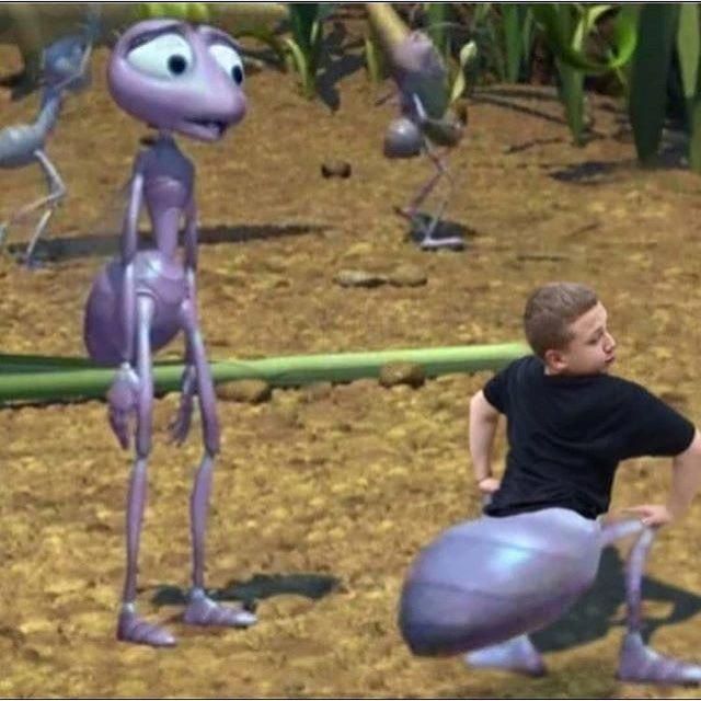 ZemanEmily's tweet photo. introducing the daily cursed memes part 1 https://t.co/lUcOB2bGjf