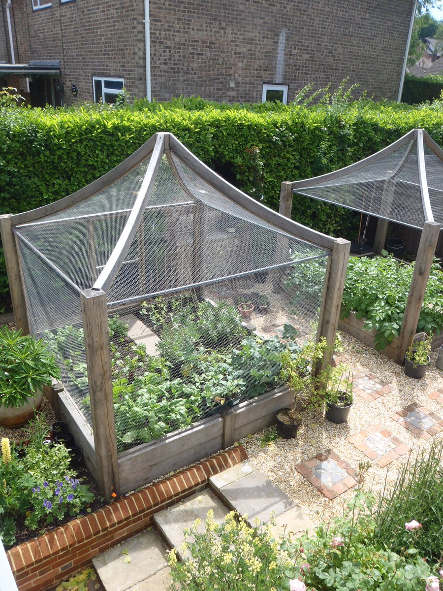 summerhouse_the's tweet photo. We also specialise in Oak garden features like these amazing architectural fruit cages #gardening #gardening #oakjoinery #landscapedesign https://t.co/9saTrdMbsK