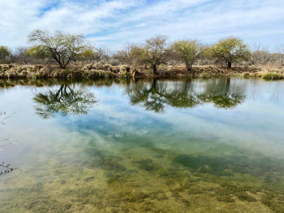 Prepare yourself for amazing views and photos that you MUST capture at <a href="/GuerreroMagico_/">Guerrero, Coahuila</a> and discover the incredible landscapes of Los Bañaderos Park.
#VisitMexico <a href="/VisitMEXICOUK/">VisitMEXICOUK</a>