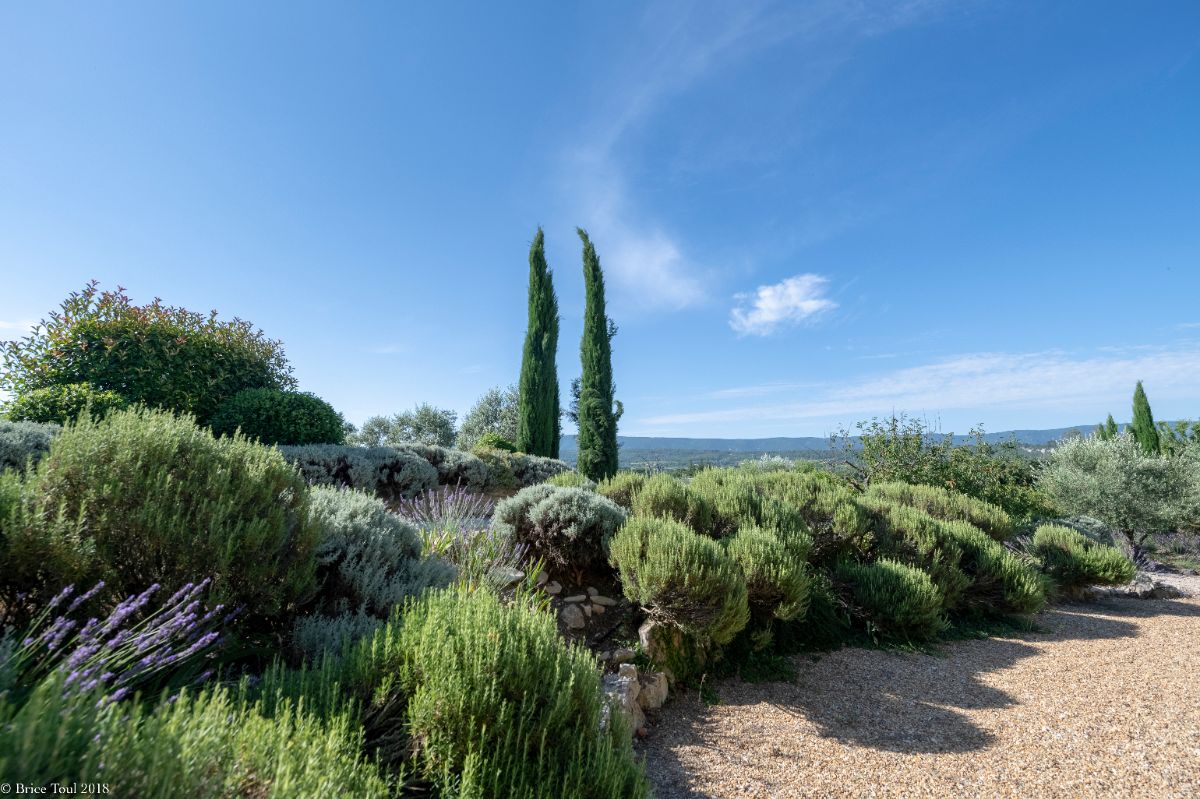 CotedAzurVillas's tweet photo. Another day π¦ Another pool!
This time in the β€οΈ of Provence, ideal to relax, take a long afternoon nap or to enjoy the stunning view.
Mas de la Vigne - Provence
https://t.co/sd9xwWNqis
#cotedazurvillas #provence #pooloftheday #summer 2020 #southoffrance #happyholidays https://t.co/UHOox1gNmQ
