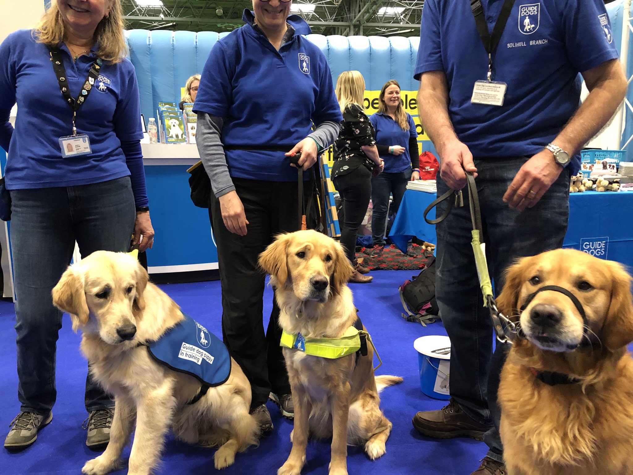 tom wright guide dogs