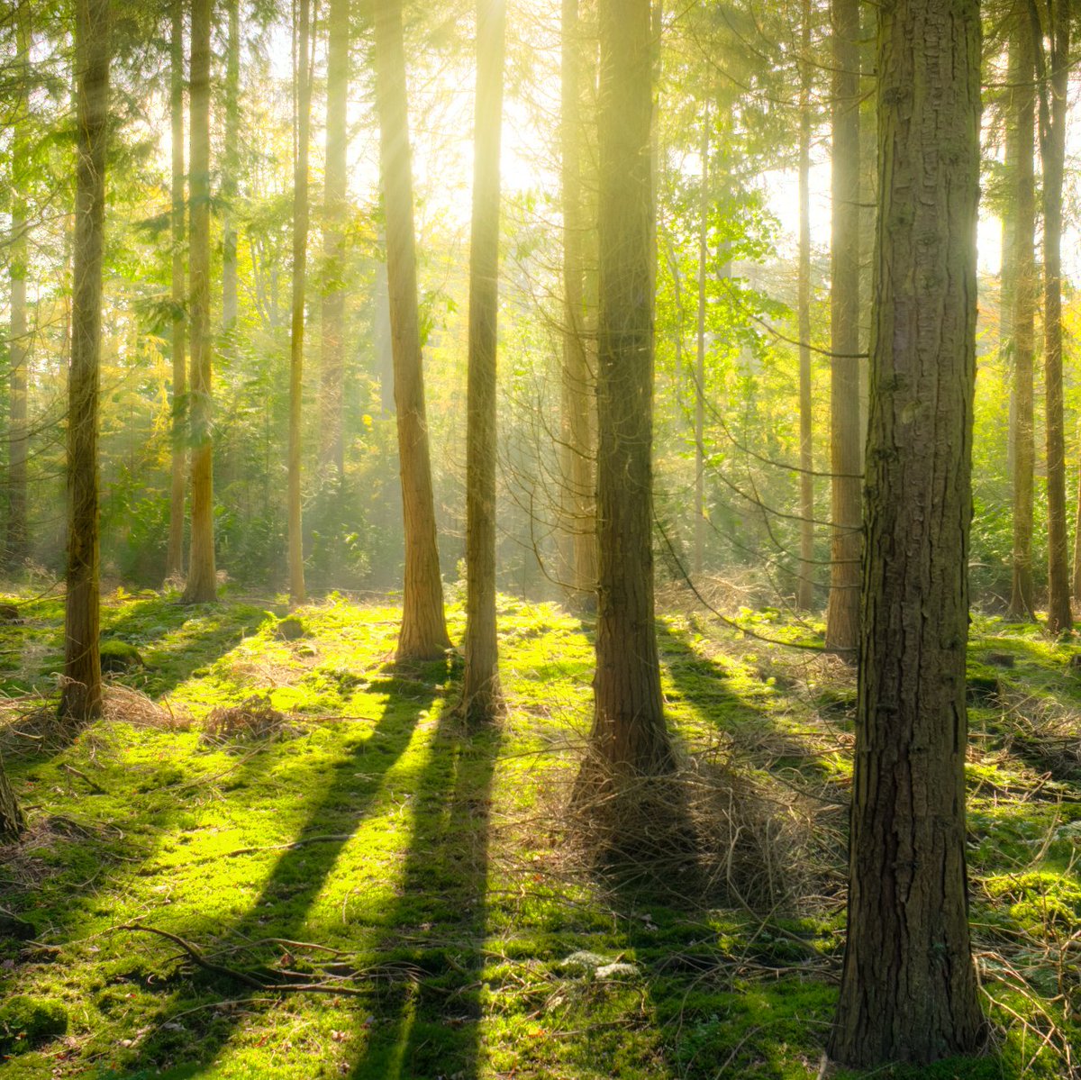 Between 2007 and 2017, #NHS carbon emissions fell by 18.5 per cent, what next?

wired.co.uk/article/nhs-ne…

#levelhealth #mindfulness #health #healthcare #holisticcare  #wellbeing  #gp #generalpractitioners #doctors #efficiency #CCG #PCN  #zeroemission #environment