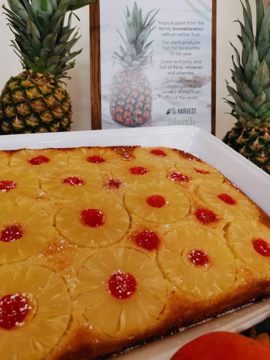 Mary Dennehy tweet media