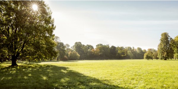 Steeds meer mensen vinden duurzaam transport belangrijk. Toch bezorgen nog lang niet alle bezorgdiensten duurzaam.
trunkrs.nl/blog/hoe-duurz…