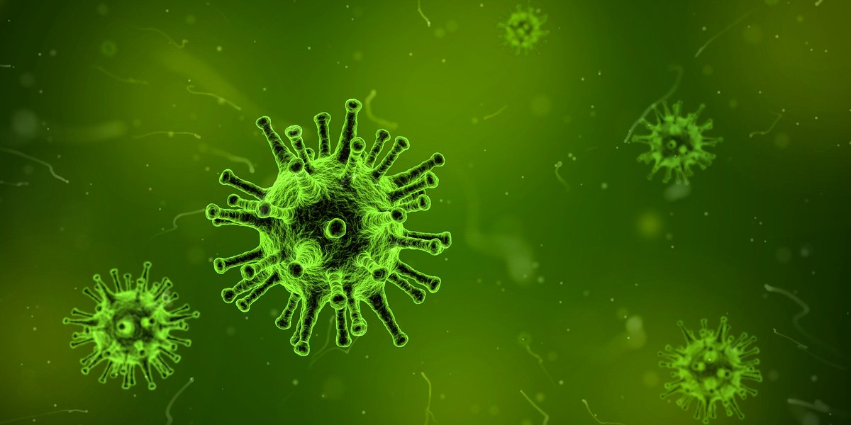rscdsdancescot's tweet photo. We would like to draw your attention to guidance we have released on the #Coronavirus on our website. We sympathise with dancers, for example, Northern Italy Branch, who for the moment are not able to meet socially.
Please visit for more information: https://t.co/nCAPOxlgv1 https://t.co/4h5w30Q3jx
