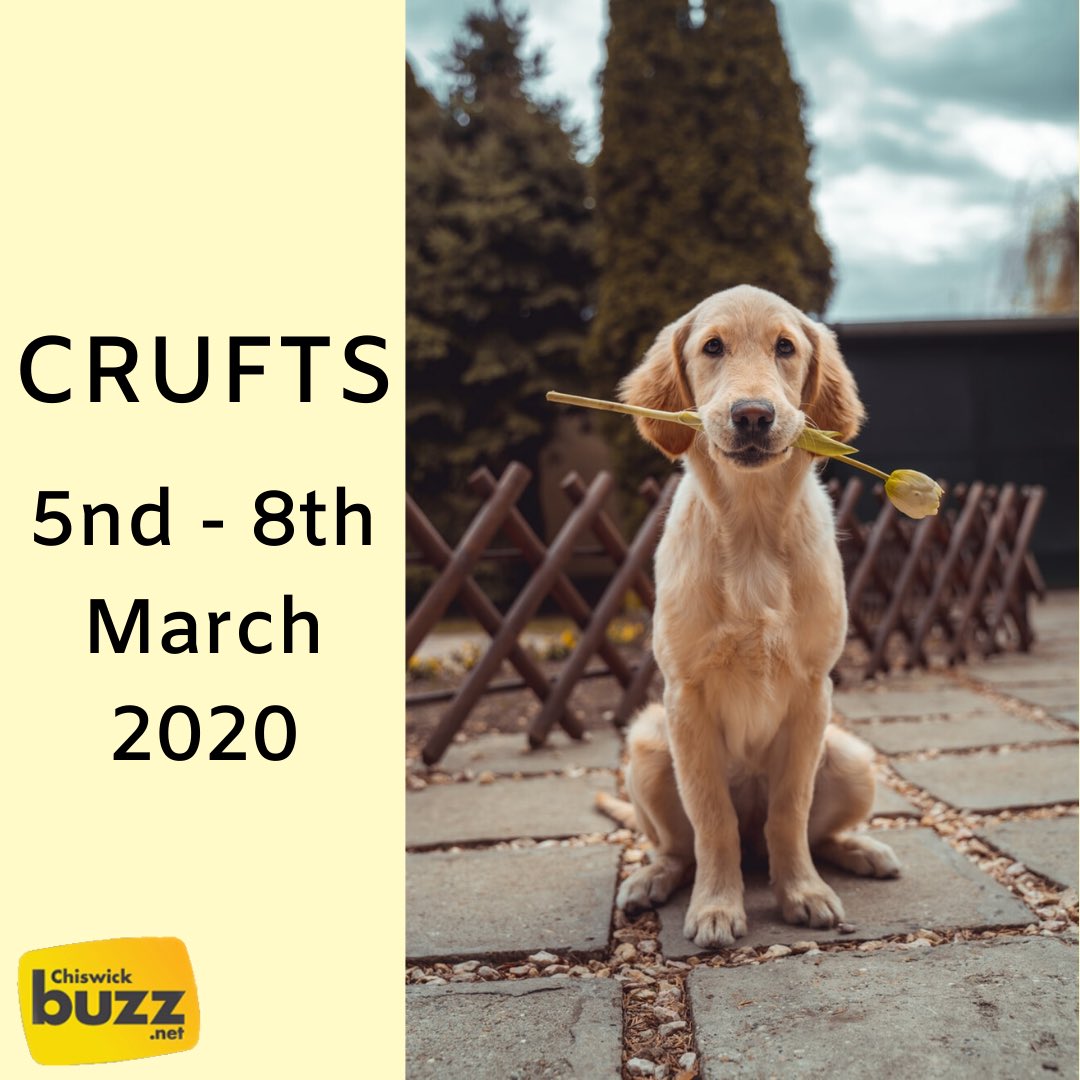 chiswickbuzz's tweet photo. Crufts is the annual dog show that we all know and love! Did you know it’s the largest show of its kind in the world? Organised by the Kennel Club, this year, the show is running between the 5th and 8th of March @Crufts
-
#crufts #crufts2020 #ChiswickLiving #ChiswickDogs https://t.co/wJvO6NvEpW