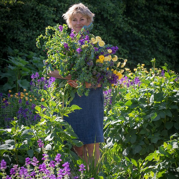 Sarah Raven tweet media