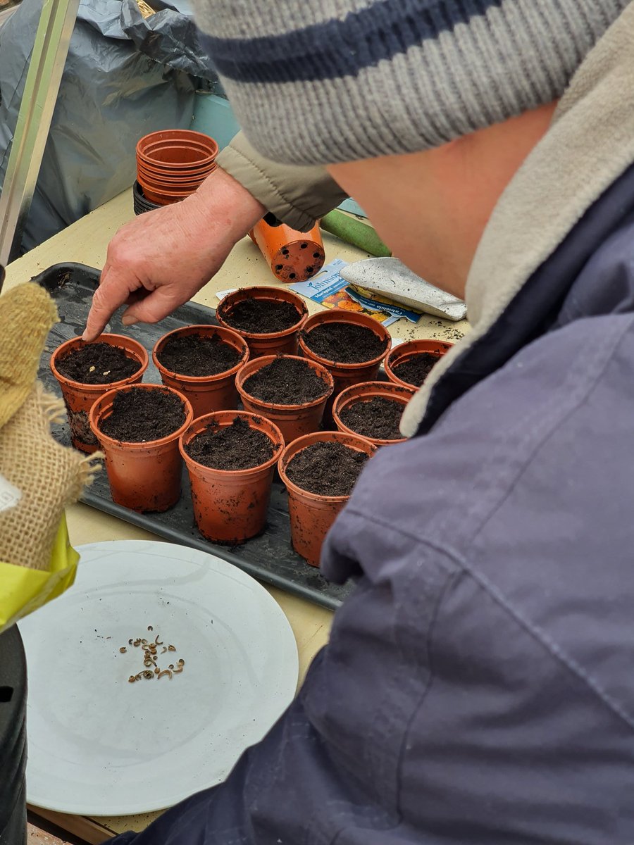 communityflow55's tweet photo. Today we had a mixture of games, painting and gardening at our Thursday morning workshop.

#communityflow https://t.co/pudM4sJI4G