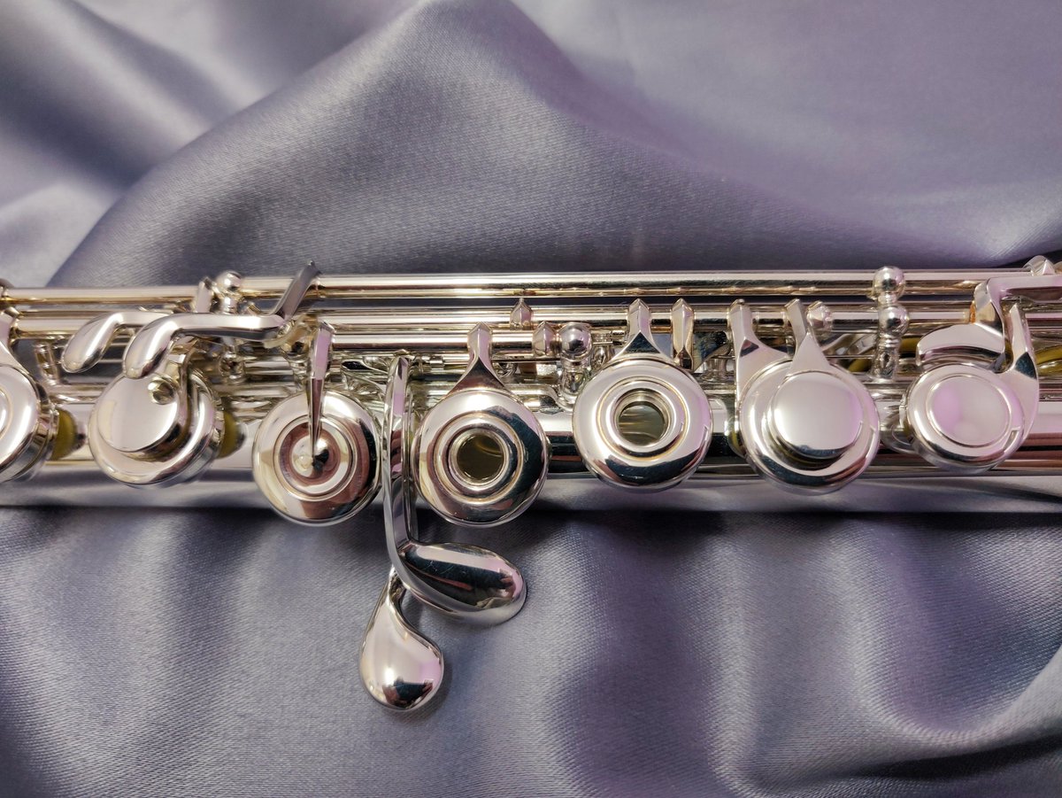 AllFlutesPlus's tweet photo. Sankyo 401 Full Kingma quarter tone system flute 

Ooooooooooo 😍😍 

#flute #flutes #fluteworld #flutist #flutesection #flutistsofinstagram #flautist #kingma #kingmasystem #keys #mechanics #tone #quartertone #quarter #silver #allsilver #sankyo @sankyoflutes https://t.co/nlWm7NdwTm