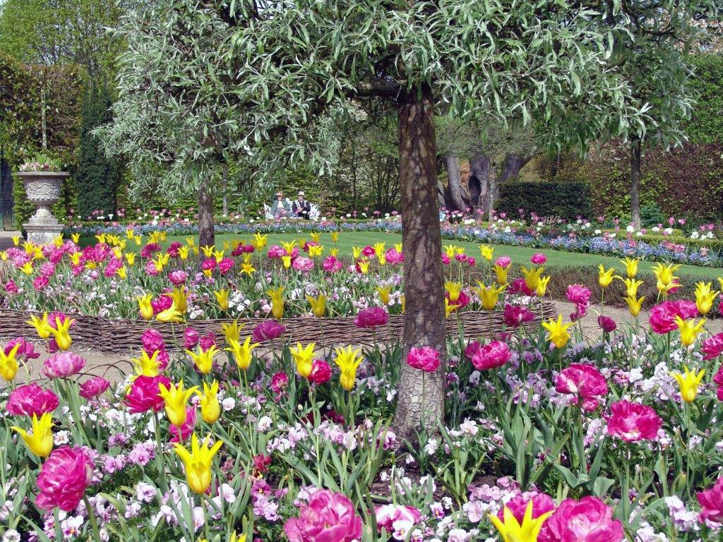 It's Mother's Day on Sunday 22nd of March and we've got the perfect day out for you and your mum. 

Enjoy a delicious 2 or 3 course meal in the Ilex Brasserie and a beautiful stroll in our gardens. 

Pre-booking is essential, call us on 015395 58328 to book your place.