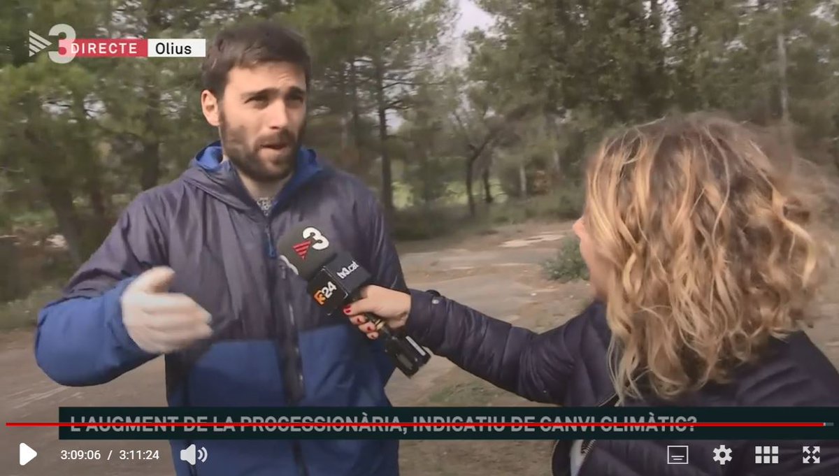 AlertaForestal's tweet photo. Avui @elsmatins parla sobre #processionària! 🐛

"Des del @ctforestal i el @CREAF_ecologia estudiem el bosc i la #processionària amb la col·laboració dels ciutadans a través d'@AlertaForestal", Quim Canelles, investigador al @ctforestal  

Comença a 3:03'👉https://t.co/xHrdfTZA6M https://t.co/v3qdk1aO4h
