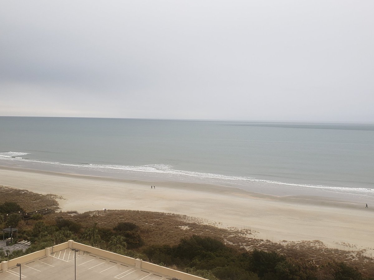 SCEMS1's tweet photo. Folks if you're not waking up to this view today its means youre not at #SCEMSSYMPOSIUM2020 !  Git ur behind down here!  Kicking off today with a Data Workshop @830 and then the EMS State of the State at 1100.  Exciting announcement right here on @SCEMS1 immediately following ! https://t.co/HH6a7aFSBq