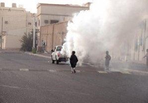 Maithaalhameli's tweet photo. ردوا لنا سيارة راعي الفليت 😒
ما بيروّع #كورونا غيرها ☹️
#فيروس_كورونا 
#سيارة_الفليت 
#ردوها https://t.co/6tGWpQFZyU