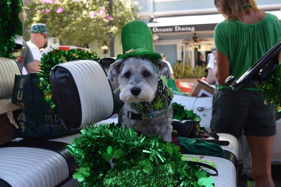 FTL St. Pats Parade & Festival tweet media