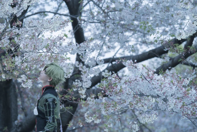 コスプレ/鶯丸

花の下

photo:ほねさん(@pb_hone35) 