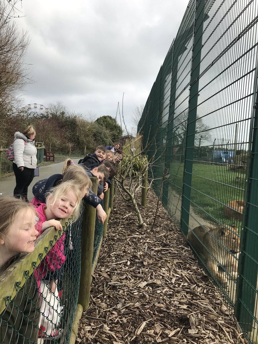 Hendrefoilan's tweet photo. Loving the animals @FollyFarmWales #hdfp2 https://t.co/RsQvUOt0vW