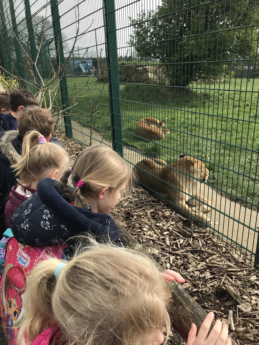 Hendrefoilan's tweet photo. Loving the animals @FollyFarmWales #hdfp2 https://t.co/RsQvUOt0vW