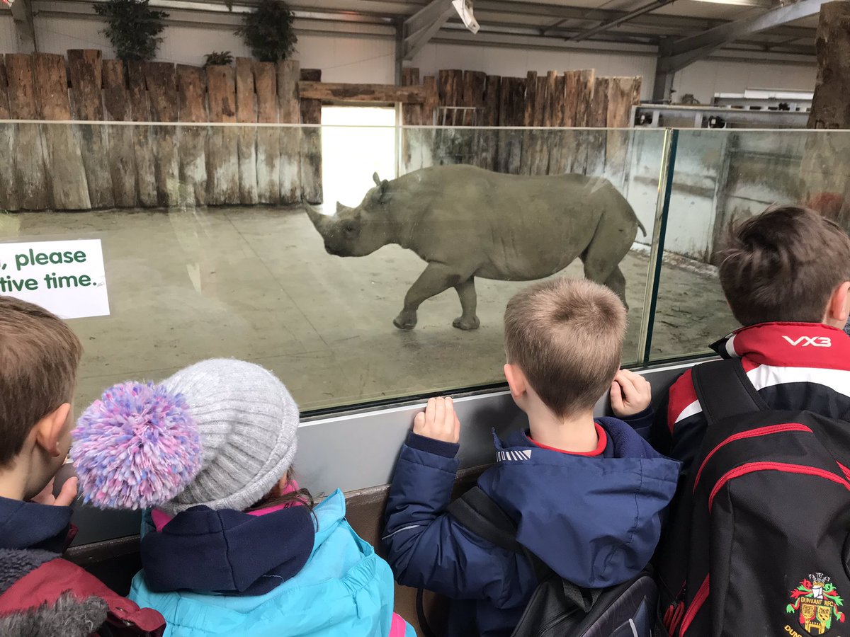 Hendrefoilan's tweet photo. Loving the animals @FollyFarmWales #hdfp2 https://t.co/RsQvUOt0vW