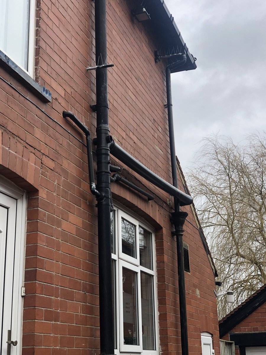 This household was having ongoing issues with #pigeons until MJB stepped in to save the day with this #pigeonspikes 👌 

If you're having similar issues at your commercial or domestic property, don't hesitate to give us a call ☎

#pestcontrol